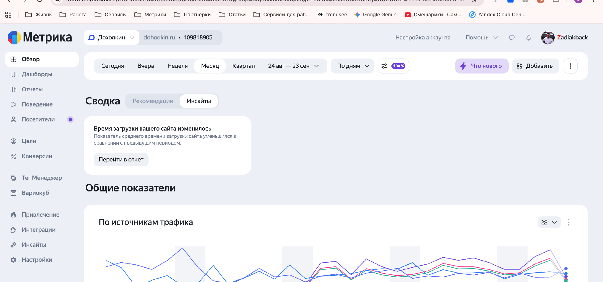 Реальный скриншот Яндекс Метрики Доходкина